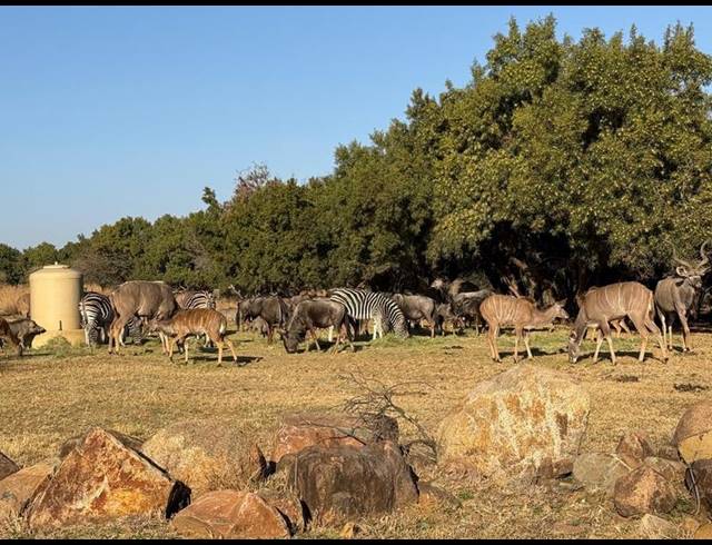 LAND FOR SALE IN SABLE HILLS